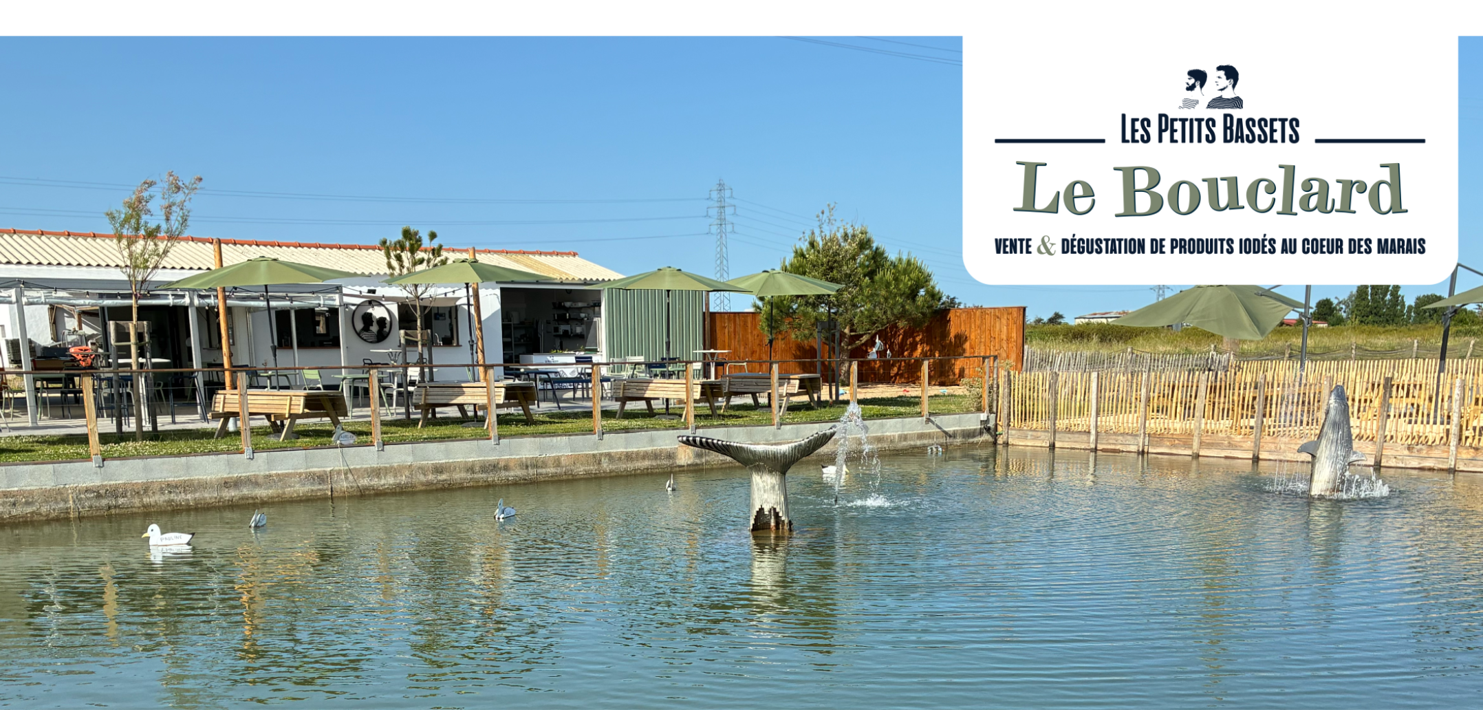 Le bouclard - les petits bassets