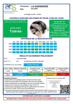 Résultats de la surveillance bactériologique des gisements naturels de coquillages – Novembre 2025