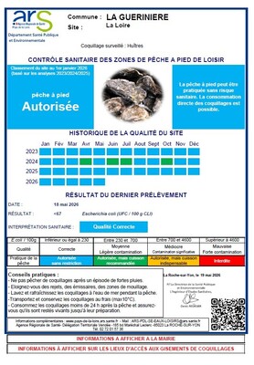 surveillance coquillage mai 2026